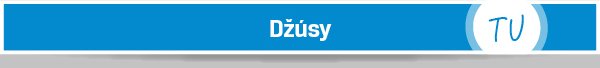 2023 NL 243 11