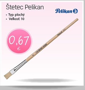 2023 NL 343 13