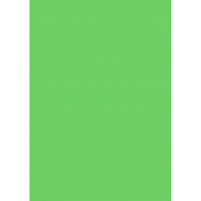 Farebný výkres Herlitz 50x70cm 10 hárkov 300g svetlozelený