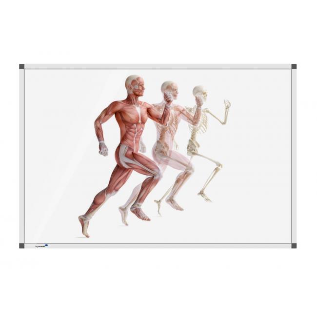 Tabuľa Premium 90x120 cm, ľudské telo v behu