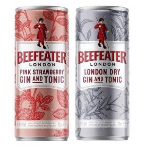 Gin&Tonic Beefeater London Dry MIX 0,25l