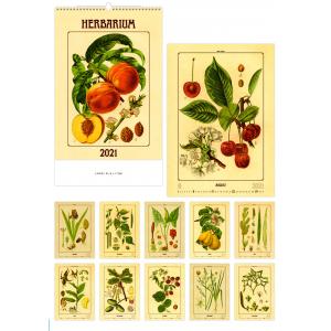 Nástenný kalendár Herbarium 2024
