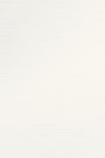 ll_Style_brush_04