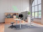 ll_large-desk_deskdividers_m2